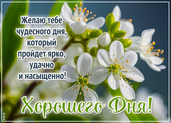 Picture артистичная картинка хорошего дня