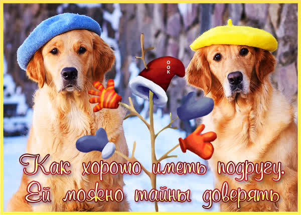 Postcard беззаветная картинка как хорошо иметь подругу