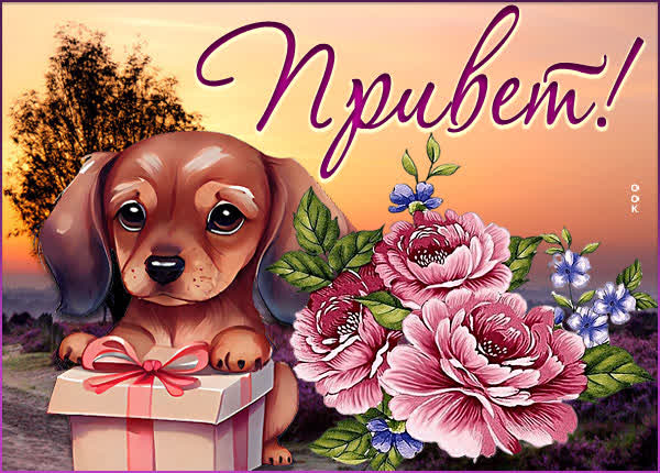 Postcard благоприятная открытка привет