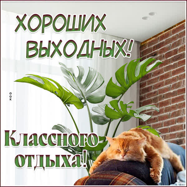 Postcard блестящая открытка хороших выходных с котом