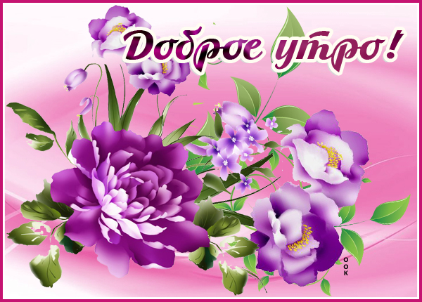 Картинка чудесная картинка доброе утро с цветами