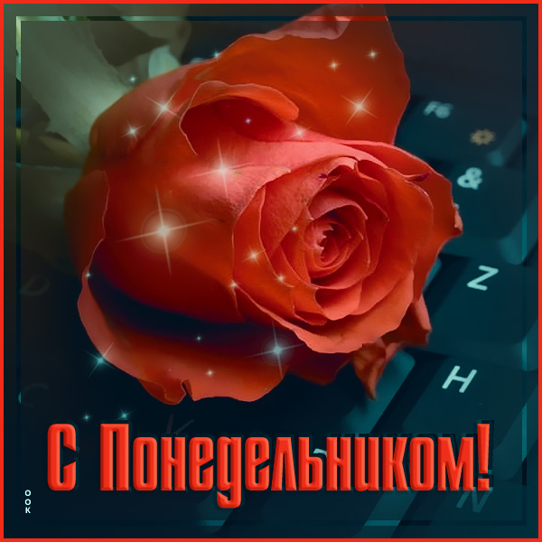 Картинка чудесная открытка понедельник