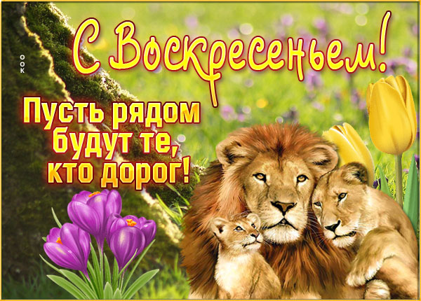Картинка чудесная открытка с воскресеньем