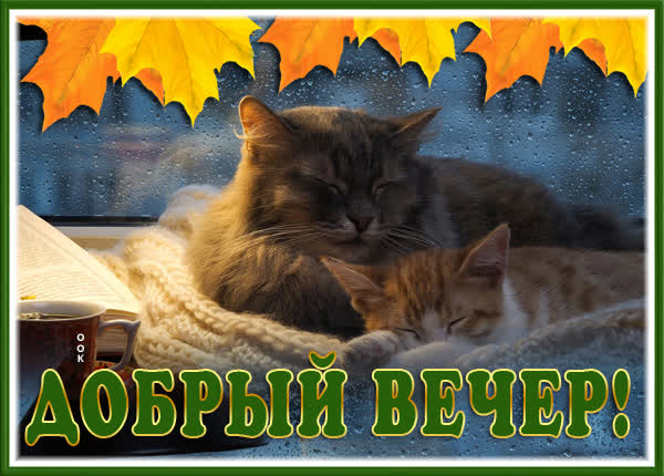 Picture чудесная картинка добрый вечер