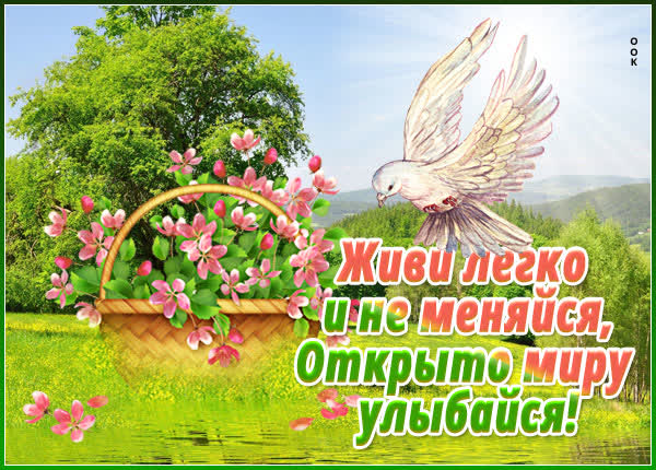 Picture чудесная картинка открыто миру улыбайся