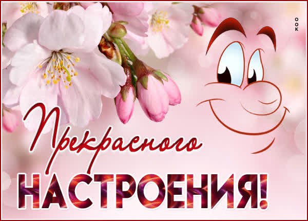 Postcard чудесная картинка прекрасного настроения