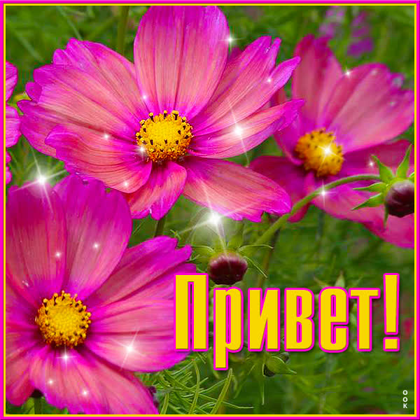 Postcard чудесная картинка привет