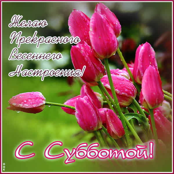 Picture чудесная картинка с субботой