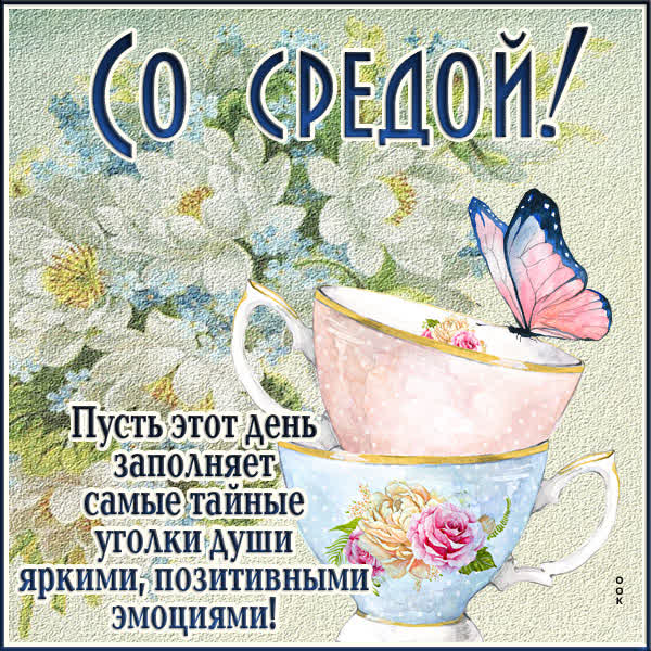 Postcard чудесная картинка со средой