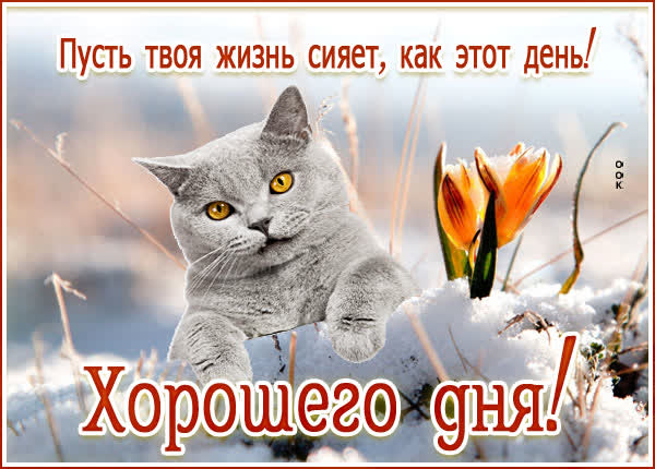 Picture чудесная картинка хорошего дня