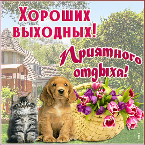 Postcard чудесная картинка хороших выходных