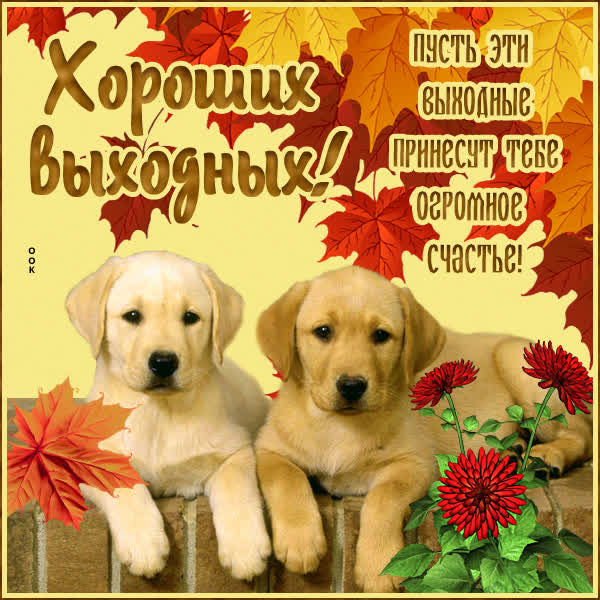 Postcard чудесная картинка хороших выходных с песиками