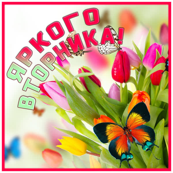 Picture чудесная картинка яркого вторника