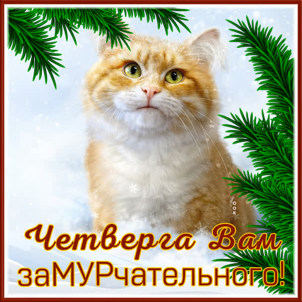 Picture чудесная картинка замурчательного четверга