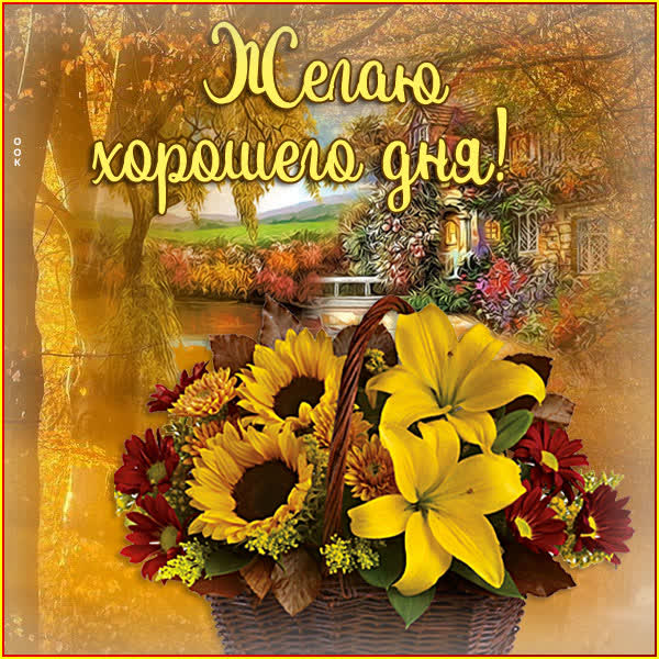Picture чудесная картинка желаю хорошего дня