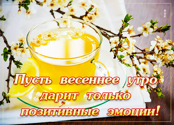 Postcard чудесная открыка пусть утро дарит позитивные эмиции