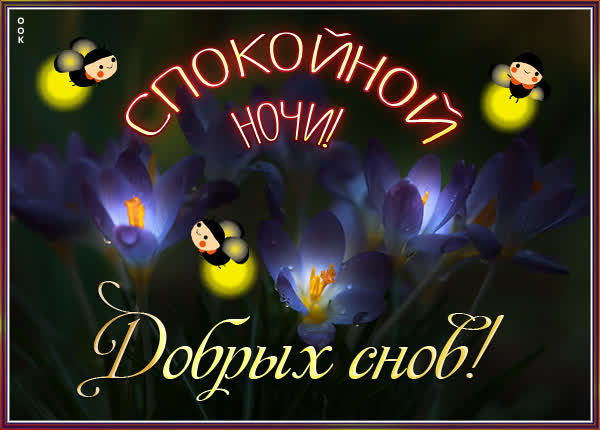 Picture чудесная открытка  добрых снов