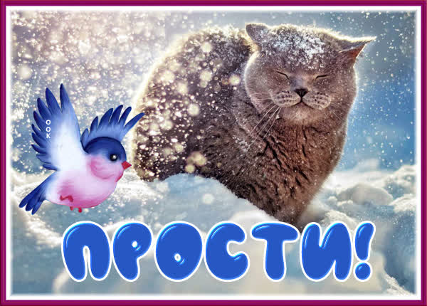 Postcard чудесная открытка прости