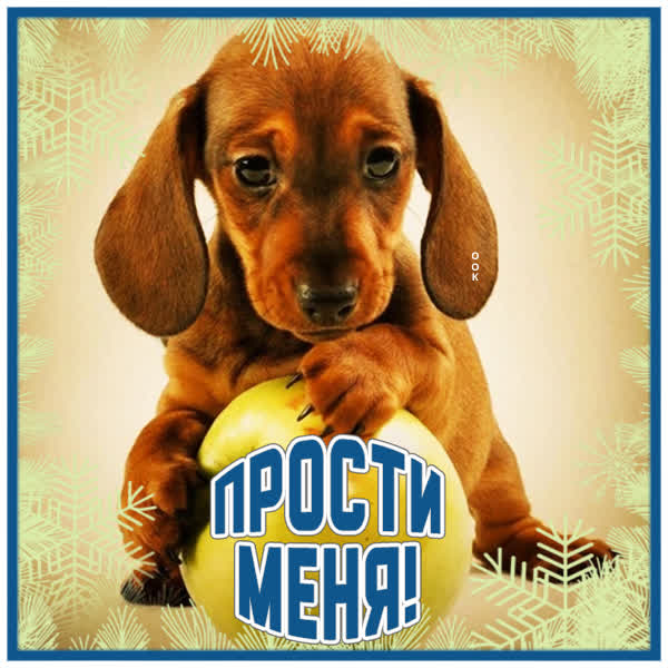 Postcard чудесная открытка прости меня