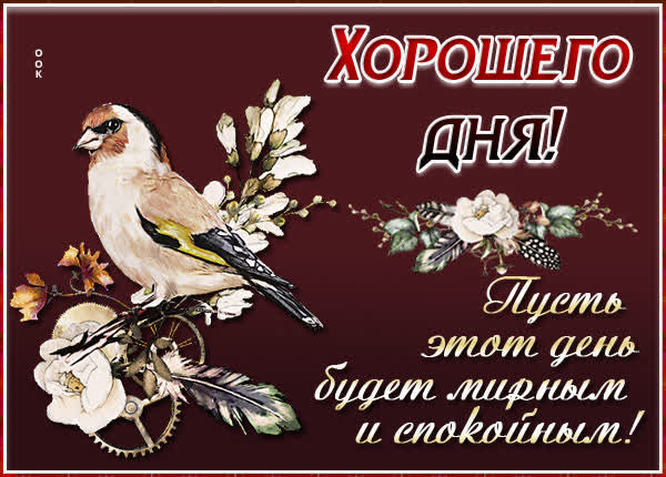 Picture чудесная открытка пусть день будет спокойным