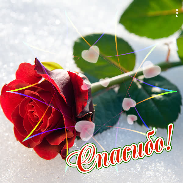 Picture чудесная открытка спасибо