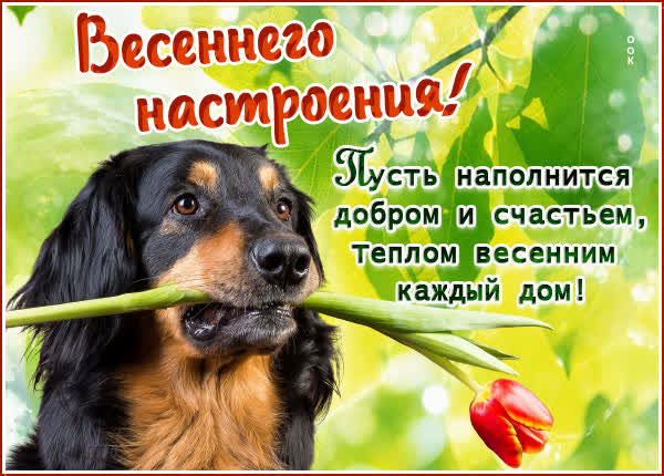 Picture чудесная открытка весеннего настроения
