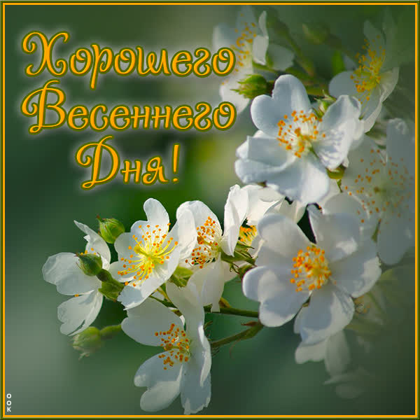 Postcard чудесная открытка хорошего весеннего дня