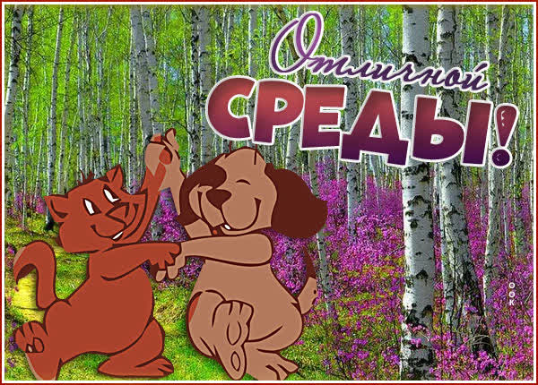 Postcard чудная картинка отличной среды