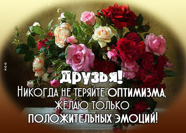 Postcard чудная картинка желаю положительных эмоций