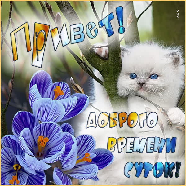 Postcard чудная открытка доброго времени суток