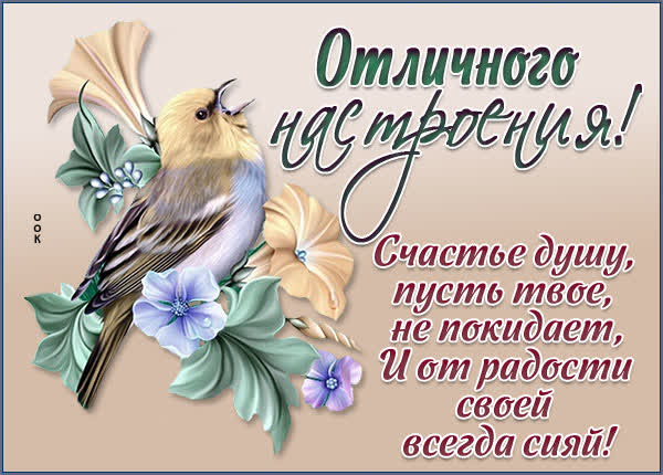 Postcard чудная открытка отличного настроения