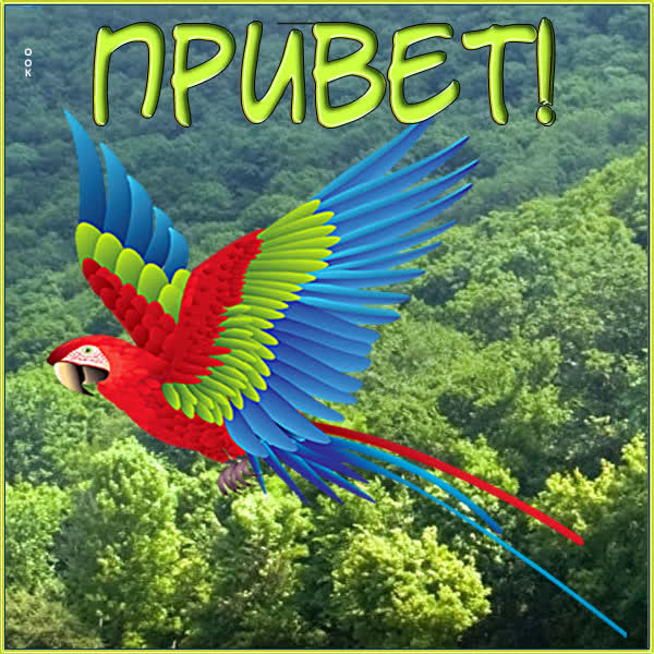 Picture чудная открытка привет