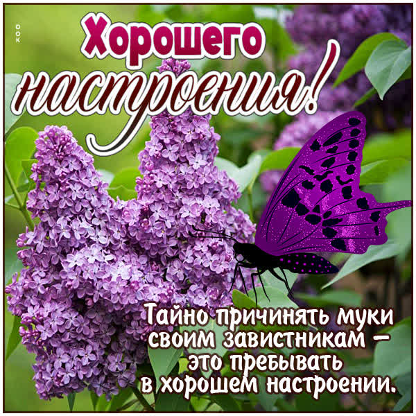 Postcard чудная открытка хорошего настроения
