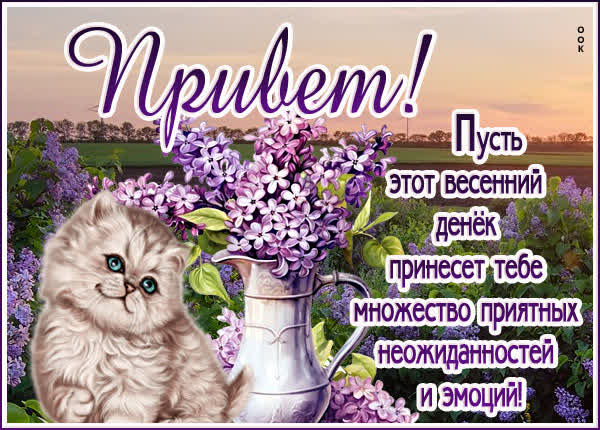 Picture чувственная открытка привет