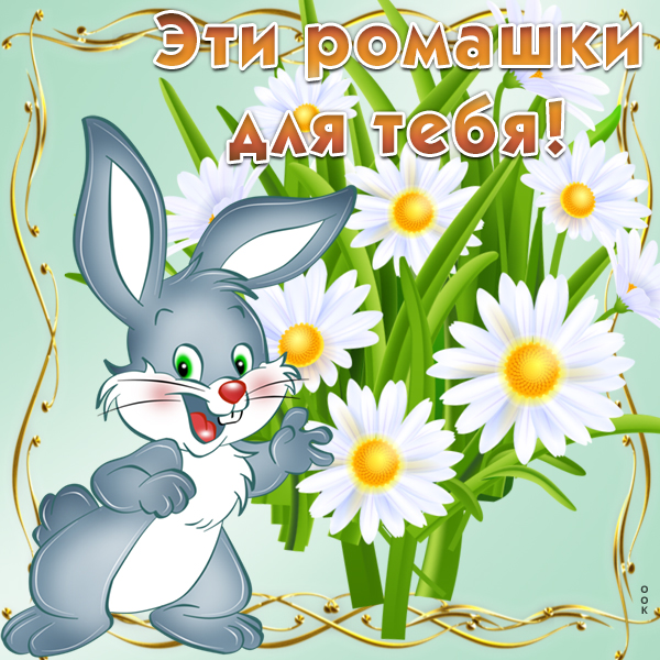 Картинка для настроения вам ромашки