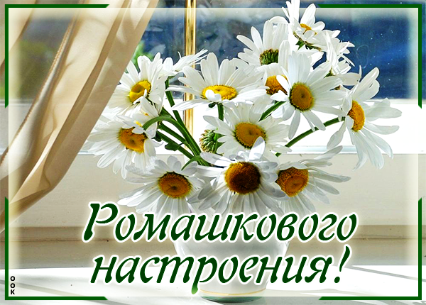 Открытка для настроения вам ромашки