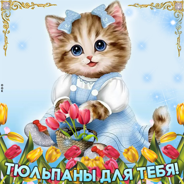 Открытка для тебя тюльпаны
