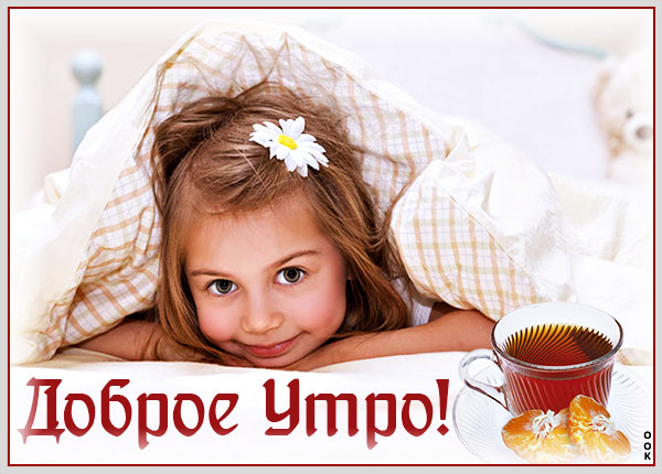 Открытка доброе утро и чудесного дня