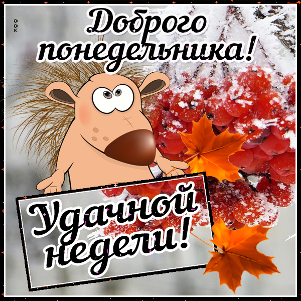 Открытка доброго понедельника желаю