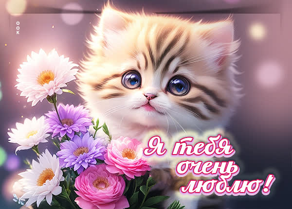 Picture эффектная открытка я тебя очень люблю