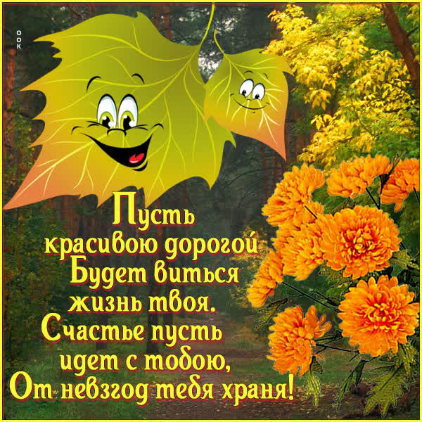 Postcard интересная картинка с пожеланиями