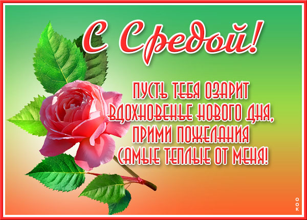 Картинка интересная картинка со средой