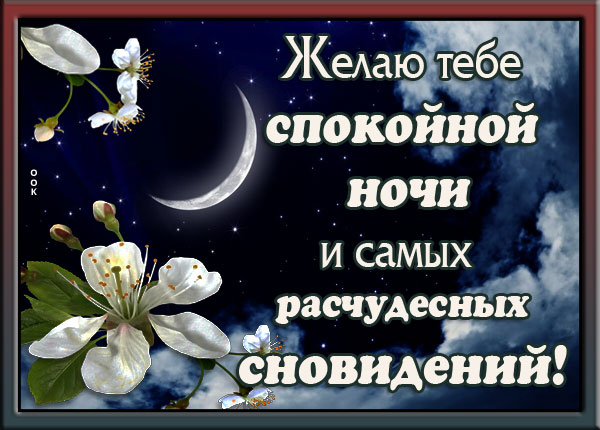 Открытка интересная картинка спокойной ночи