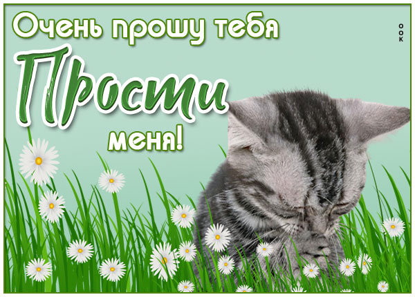 Картинка искренняя открытка прости