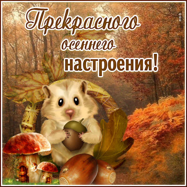 Postcard искренняя открытка хорошего настроения