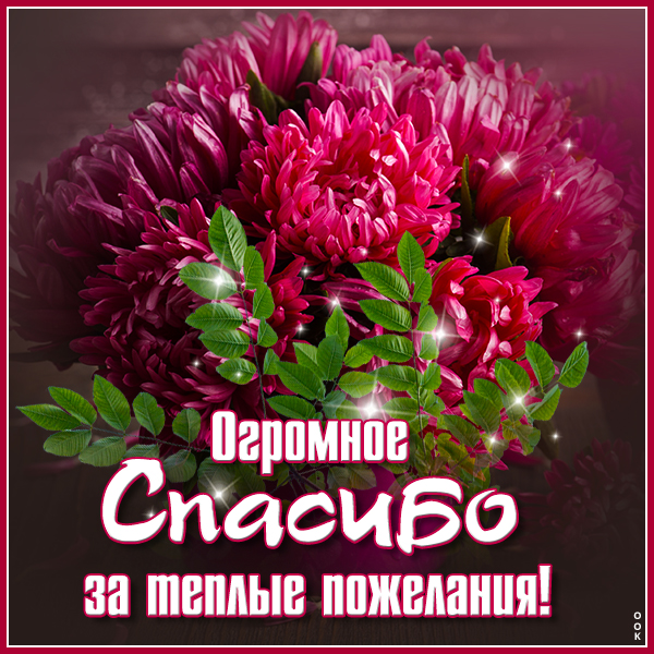 Открытка картинка большое спасибо с цветами