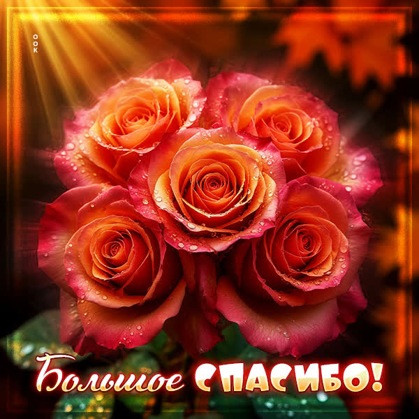 Postcard картинка большое спасибо