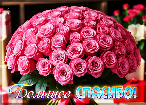 Postcard картинка большое спасибо, прими этот скромный букет