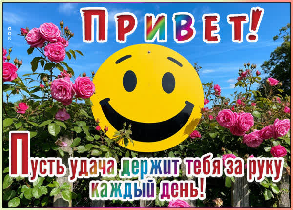 Picture картинка большой привет вам