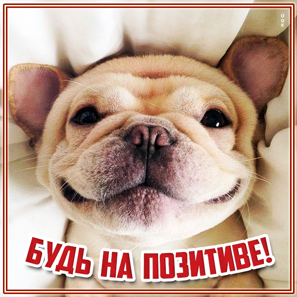 Открытка картинка будь на позитиве